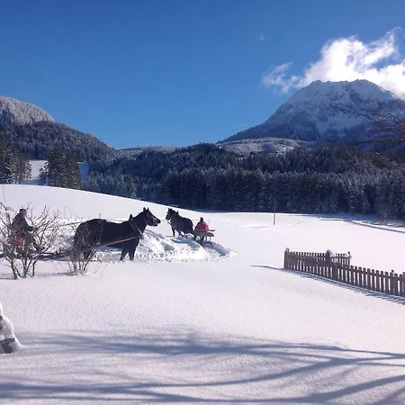 Appartement Kroetzhof *