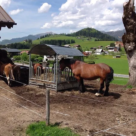 Appartement Kroetzhof